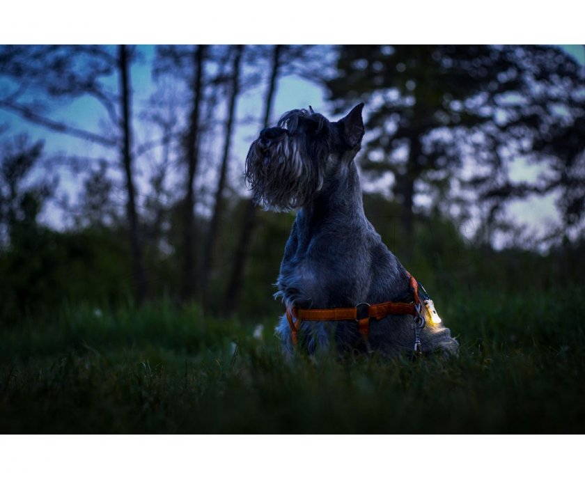 Klíčenka Armytek Zippy Blue 7.jpg