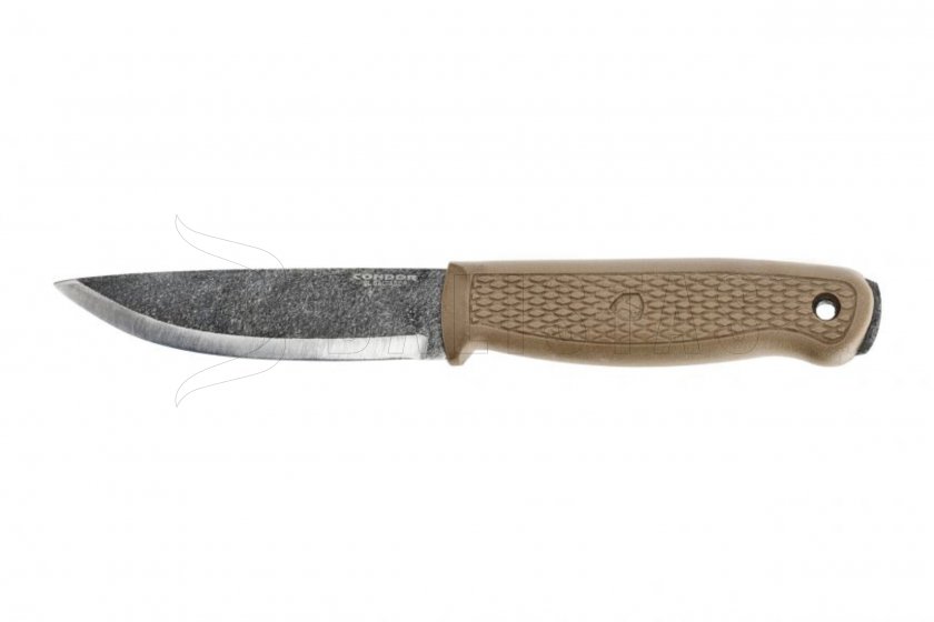 Condor Terrasaur d 01.jpg