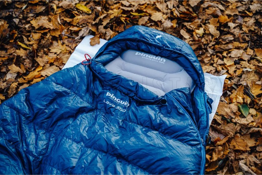 Schlafsack Pinguin Lava 350 175cm grün links 10