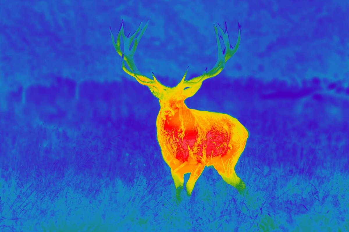 Jak vybrat termovizi a noční vidění5